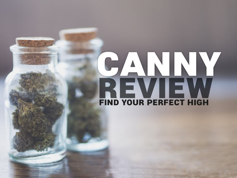 Read our Canny review about their cannabis concierge app.
