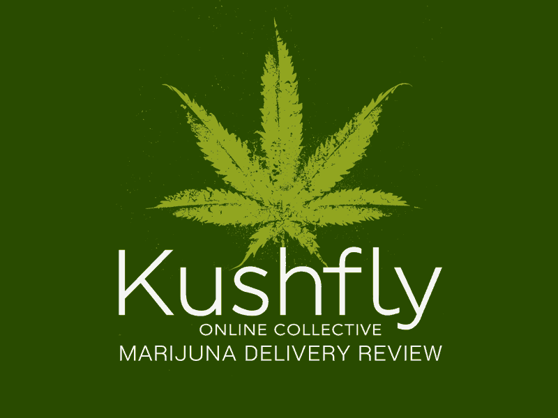 Read our Kushfly review and learn more about this marijuana delivery service.
