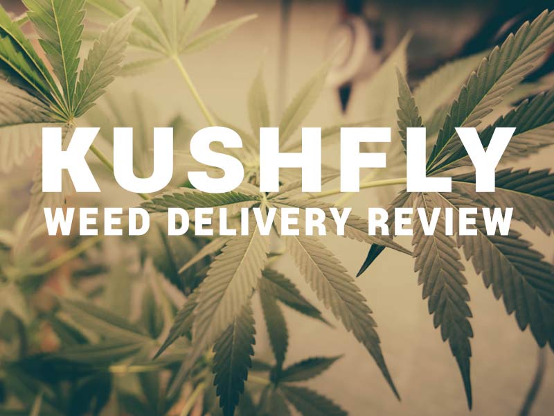 Our Kushfly review has everything you need to know about this weed delivery service.