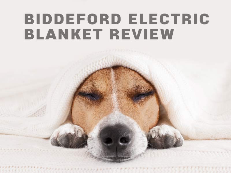 biddeford blanket controller blinking