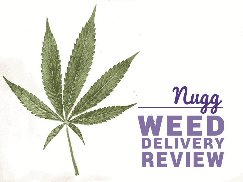 Read our Nugg Review and check out our Nugg Promo Codes