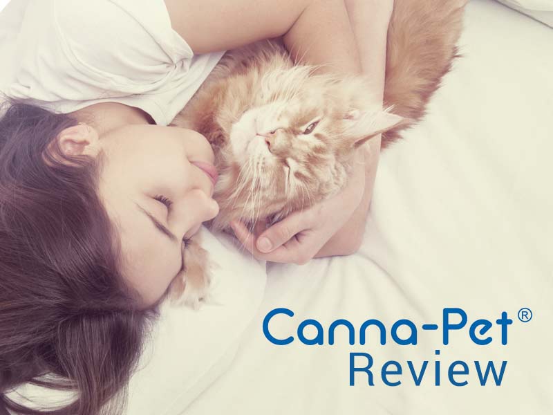 Our Canna Pet Review examines this CBD nutritional supplement 
