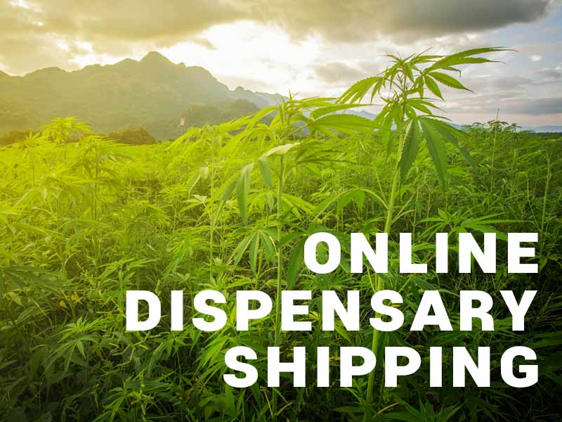 Check out the online dispensary shipping in California