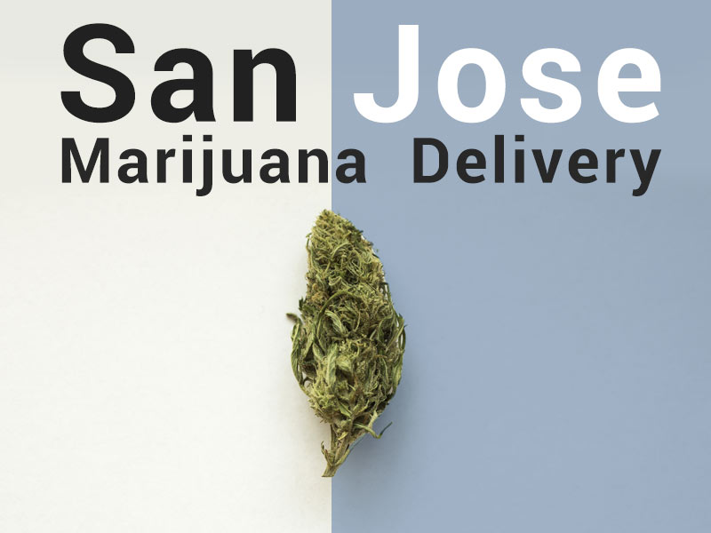 Discover everything you need to know in our San Jose Weed Delivery article.