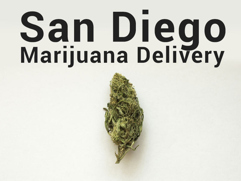 Learn everything you need to know about San Diego Weed Delivery