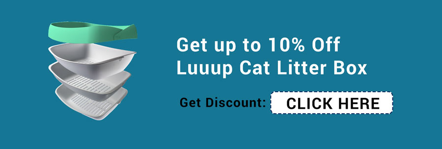 Luuup coupon code