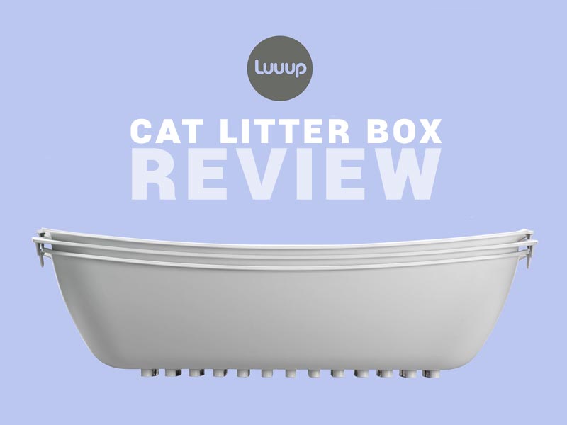 Read our Luuup Review about cat litter boxes.