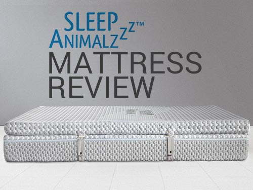 Read our Sleep Animalzzz Mattress Review and use our discounts