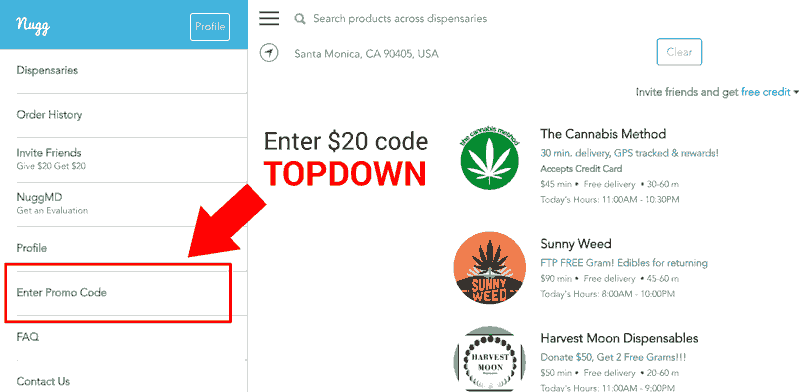 Enter the Nugg Promo Code Here