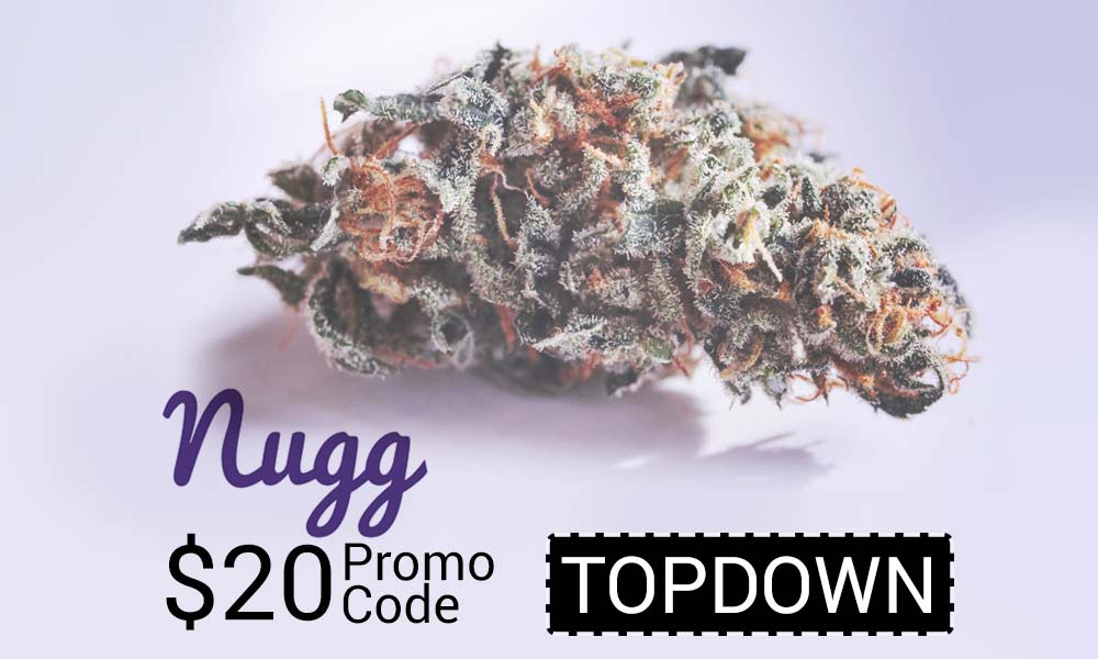Use our Nugg Promo Codes to save yourself at least $20