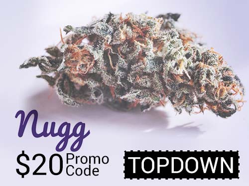 Nugg Promo Codes Featured Image