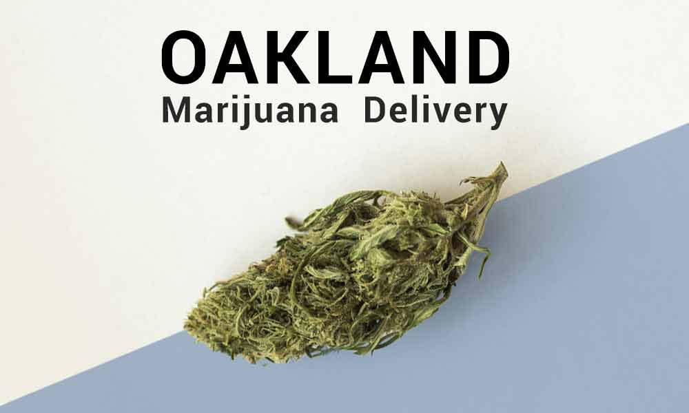 Join us as we explore Oakland weed delivery