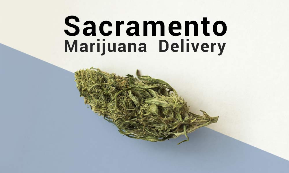 Find out where to buy your marijuana in our Sacramento Weed Delivery article