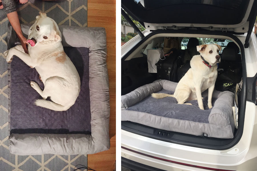 Furhaven Dog Bed Review