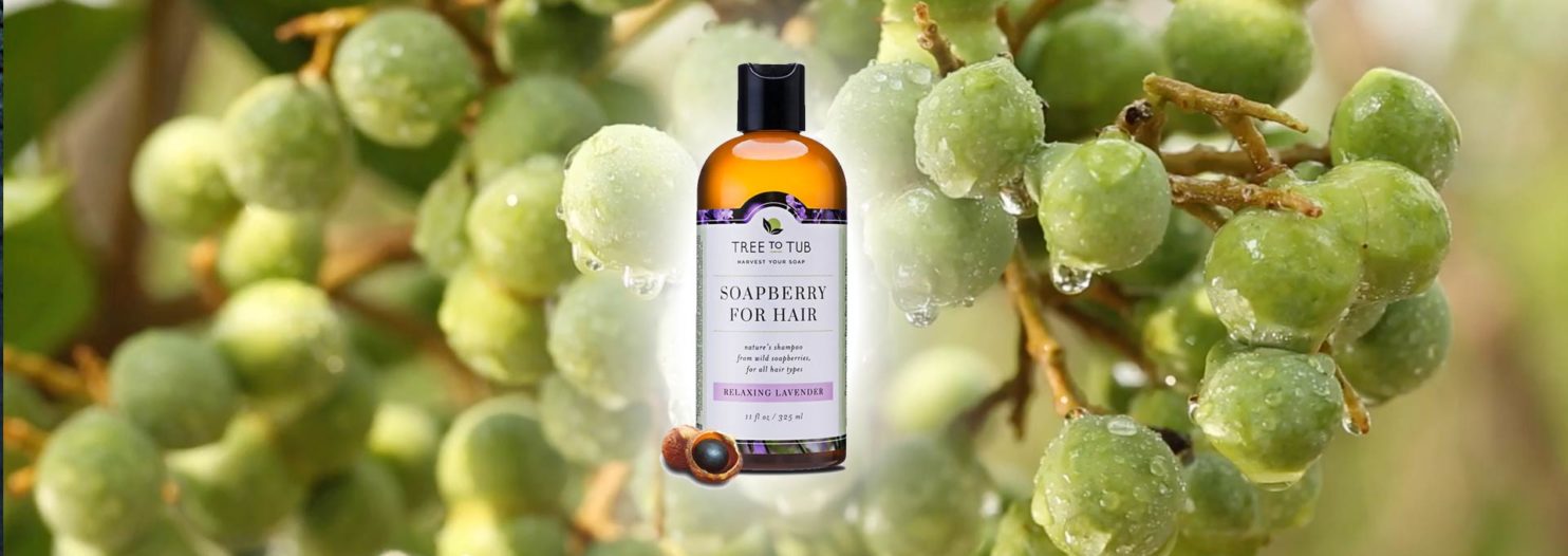 Tree To Tub Review Soapberry shampoo