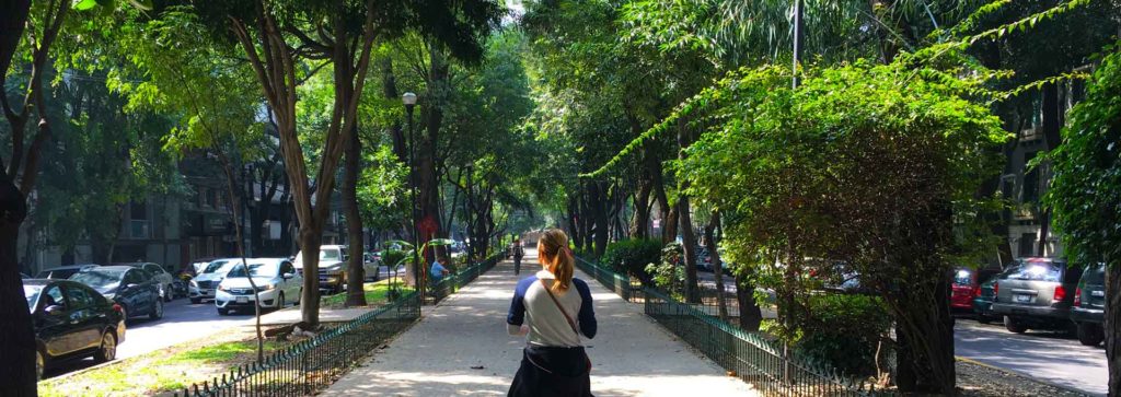 La Condesa Is Mexico Cities Ultimate Hidden Gem