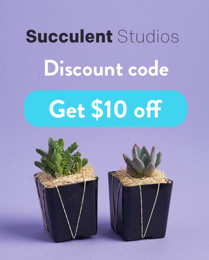 Succulent Studios Coupon Code | How to get $5 off